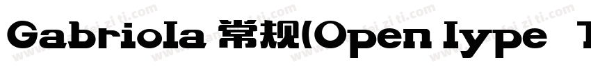 Gabriola 常规(Open lype   Truelype) (字体转换